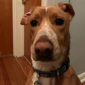 Meet your Posher, Matt